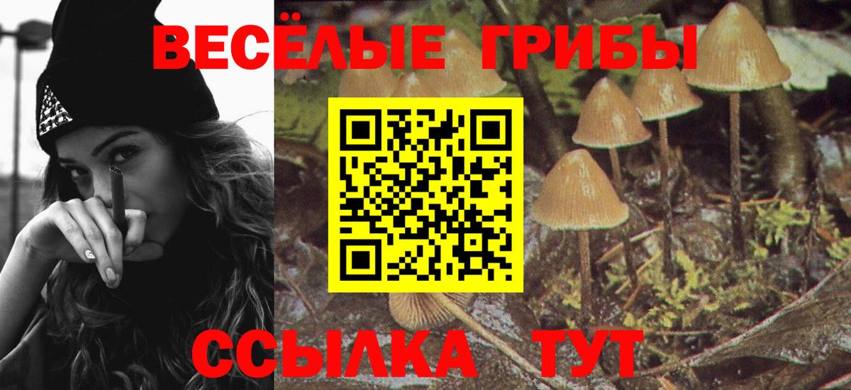 Волжск  Галлюциногенные грибы ЛСД  Вход с VPN 