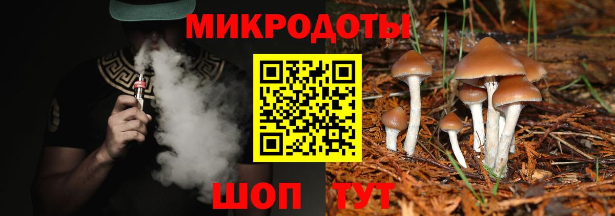 Псилоцибиновые грибы прущие грибы Волжск